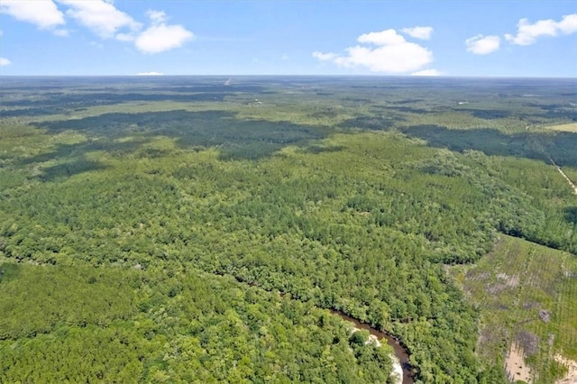 0 Roberson Rd, Hortense, GA 31543 - photo 6