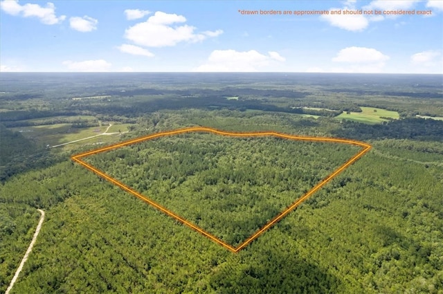 0 Roberson Rd, Hortense, GA 31543 - photo 1