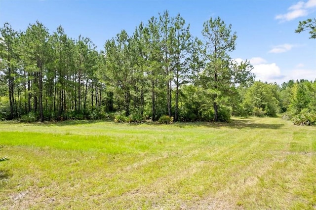 0 Roberson Rd, Hortense, GA 31543 - photo 10