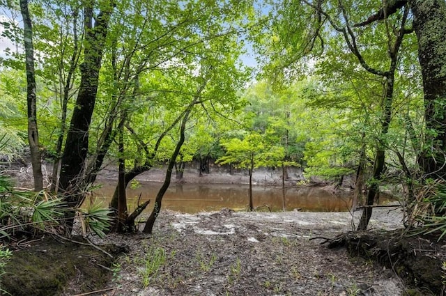 0 Roberson Rd, Hortense, GA 31543 - photo 8