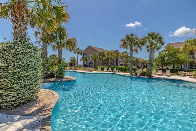 view of swimming pool