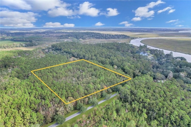 0 Pine Harbor Rd, Townsend GA, 31331 land for sale