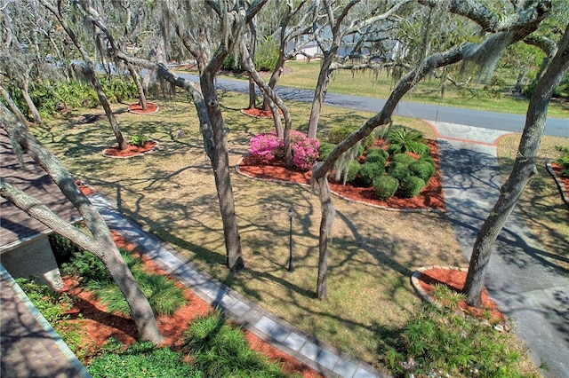 105 Driftwood Pl, Saint Simons Island, GA 31522 - view of yard