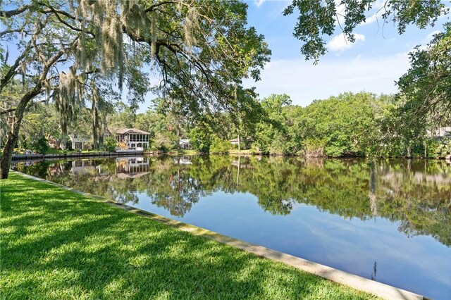 105 Driftwood Pl, Saint Simons Island, GA 31522 - water view