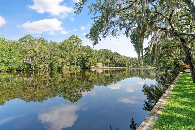 105 Driftwood Pl, Saint Simons Island, GA 31522 - water view with a heavily wooded area