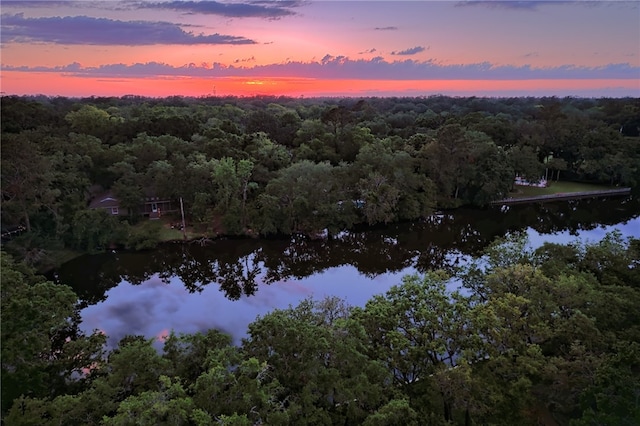 105 Driftwood Pl, Saint Simons Island, GA 31522 - drone / aerial view of a heavily wooded area and a nearby body of water