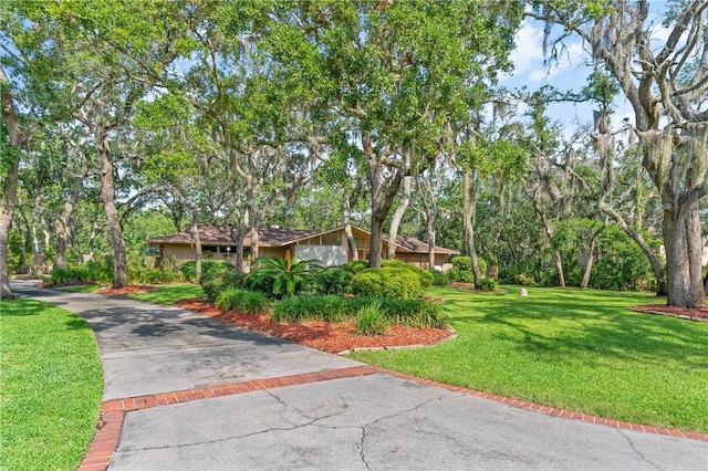 105 Driftwood Pl, Saint Simons Island, GA 31522 - view of front of house featuring a front lawn, driveway, and view of scattered trees