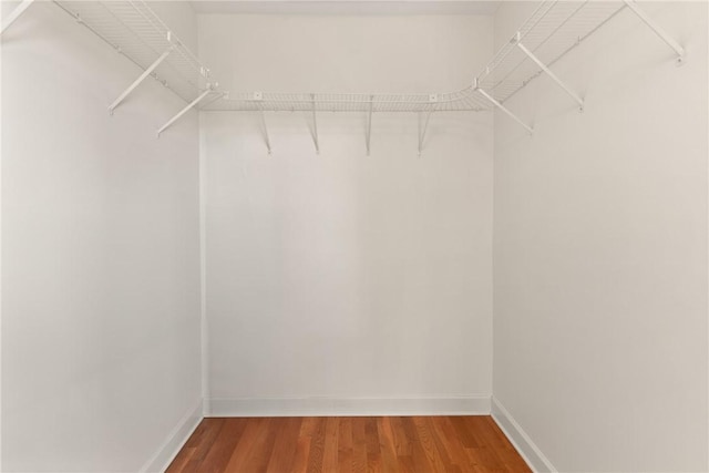 1889 Eagle Neck Dr NE, Townsend, GA 31331 - spacious closet with wood finished floors