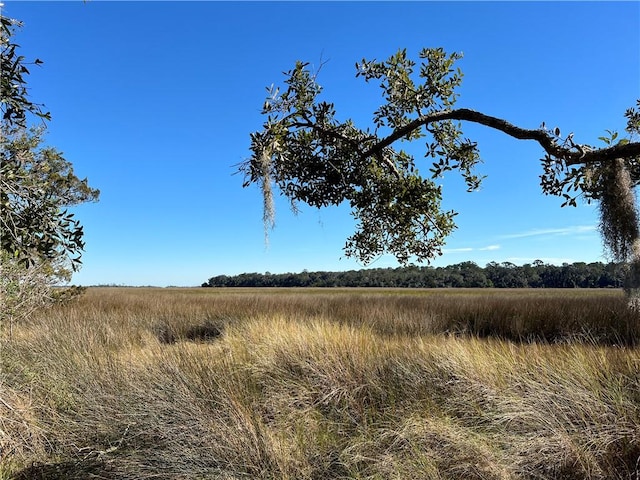 view of nature featuring a rural view