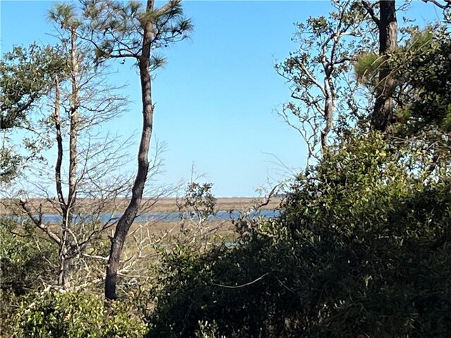 view of landscape