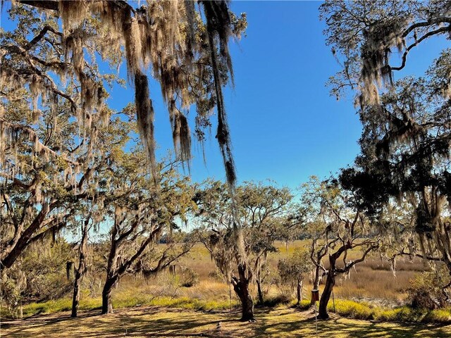 view of nature