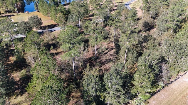 0 Bartram Loop, Waynesville, GA 31566