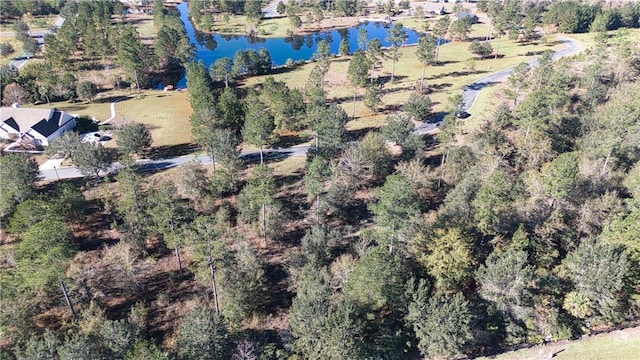 0 Bartram Loop, Waynesville, GA 31566