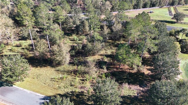 0 Bartram Loop, Waynesville, GA 31566