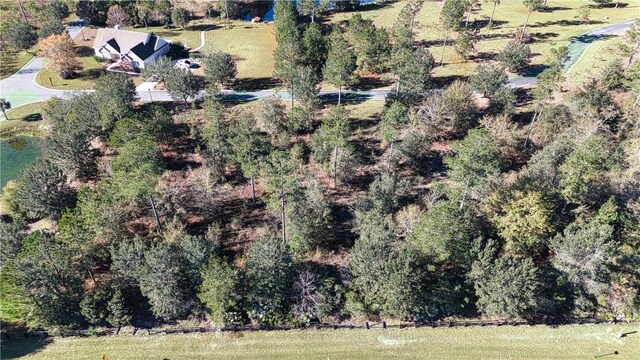 0 Bartram Loop, Waynesville, GA 31566