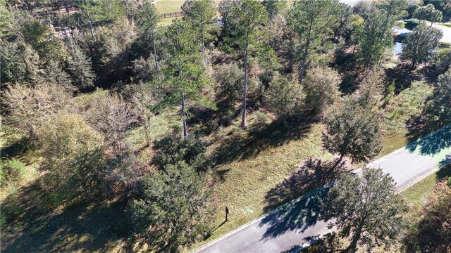 0 Bartram Loop, Waynesville, GA 31566