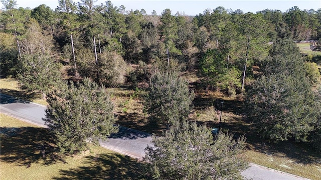 0 Bartram Loop, Waynesville, GA 31566