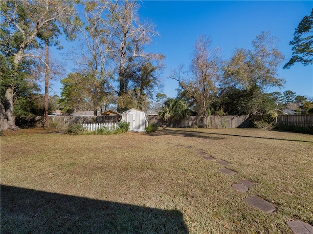 view of yard featuring a storage shed