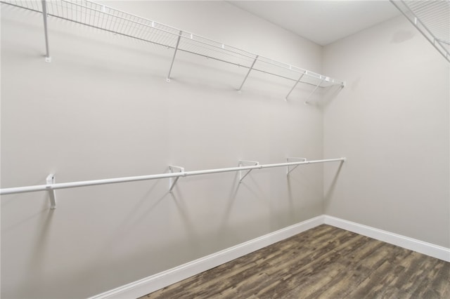 18 Ace Cir, Brunswick, GA 31523 - spacious closet with wood finished floors