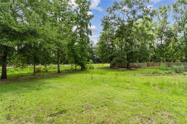 18 Ace Cir, Brunswick, GA 31523 - view of yard