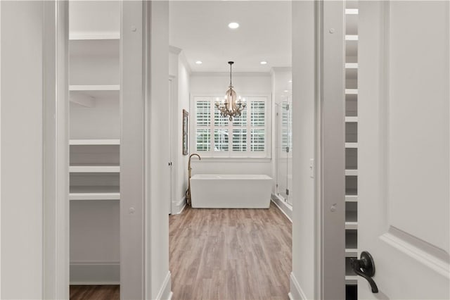 walk in closet with wood-type flooring and a notable chandelier