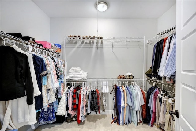 spacious closet with carpet floors