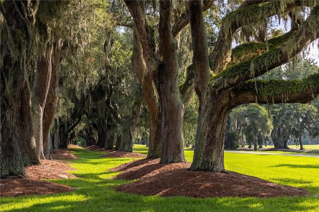 150 Salt Air Dr Unit 310, Saint Simons Island, GA 31522 - photo 23