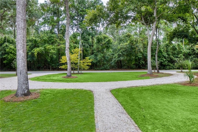 view of property's community featuring a lawn