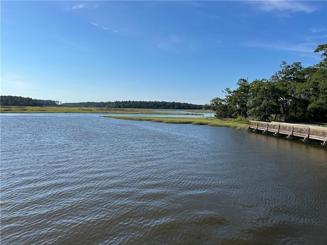 property view of water