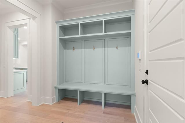 mudroom featuring light wood-type flooring