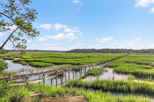 1246 Fiddler Trce NE, Townsend, GA 31331 - water view with rural landscape