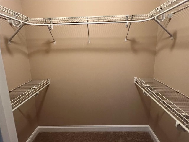 134 Hillery Trce, Brunswick, GA 31523 - walk in closet featuring carpet