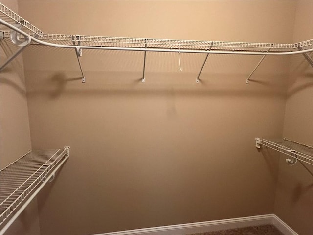 134 Hillery Trce, Brunswick, GA 31523 - view of walk in closet