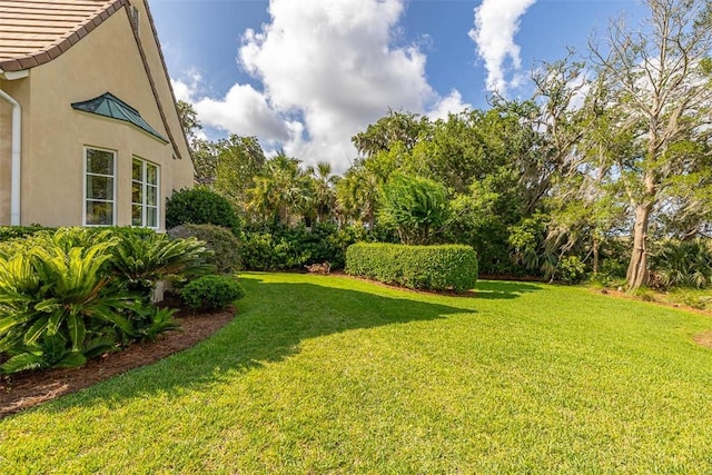 117 Hawkins Island Cir, Saint Simons Island, GA 31522 - view of green lawn