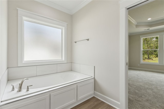 154 Ossabaw Way, Waverly, GA 31565 - bathroom featuring ornamental molding and a bath