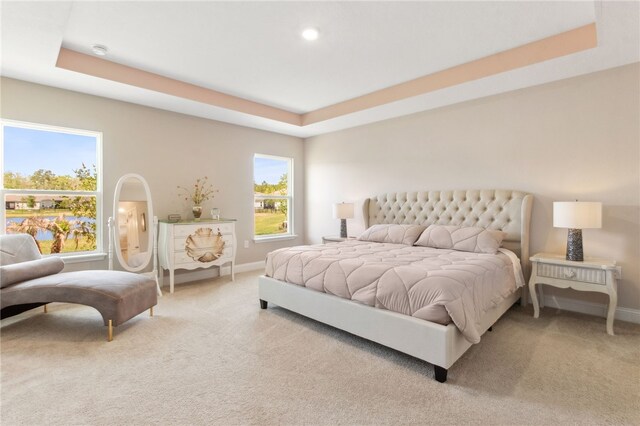 316 Chinquapin Dr, Saint Marys, GA 31558 - carpeted bedroom featuring a raised ceiling, baseboards, and recessed lighting