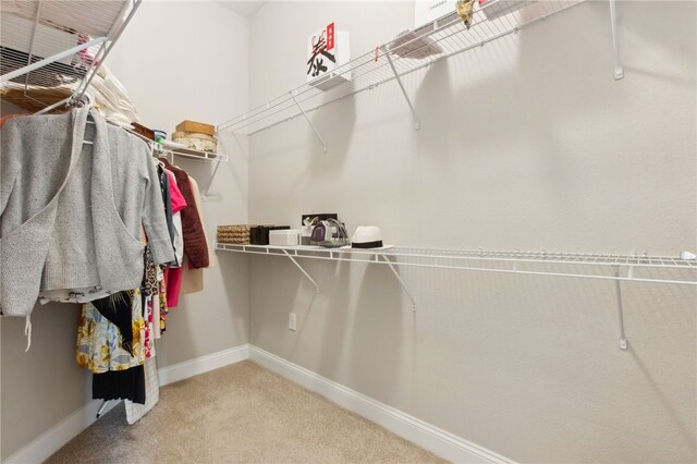 316 Chinquapin Dr, Saint Marys, GA 31558 - walk in closet with carpet flooring