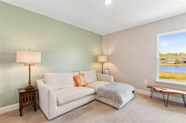 316 Chinquapin Dr, Saint Marys, GA 31558 - carpeted living area featuring baseboards