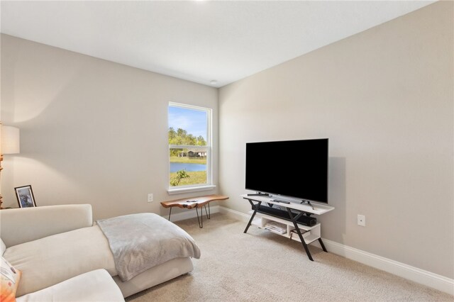 316 Chinquapin Dr, Saint Marys, GA 31558 - living area featuring carpet and baseboards