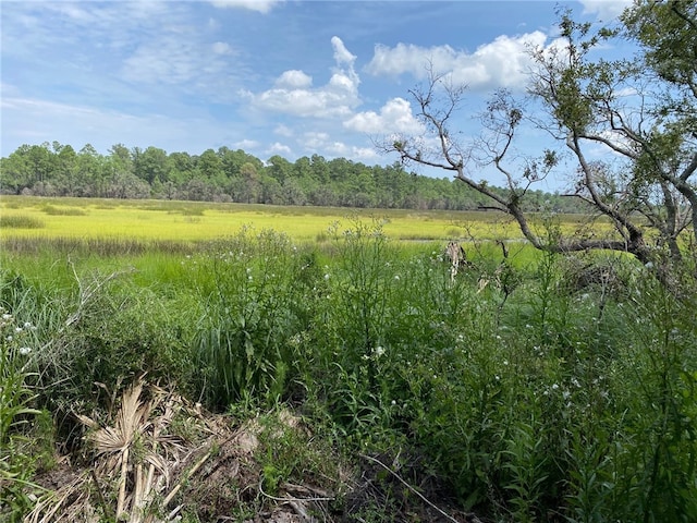 Listing photo 2 for LOT23 Barnstorm Rd, Townsend GA 31331