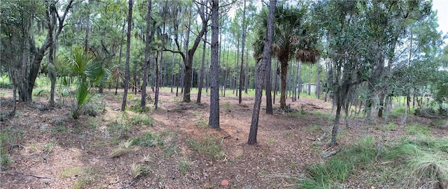 Listing photo 3 for LOT23 Barnstorm Rd, Townsend GA 31331