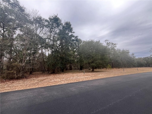 Listing photo 3 for LOT712 Coopers Landing Dr NE, Townsend GA 31331