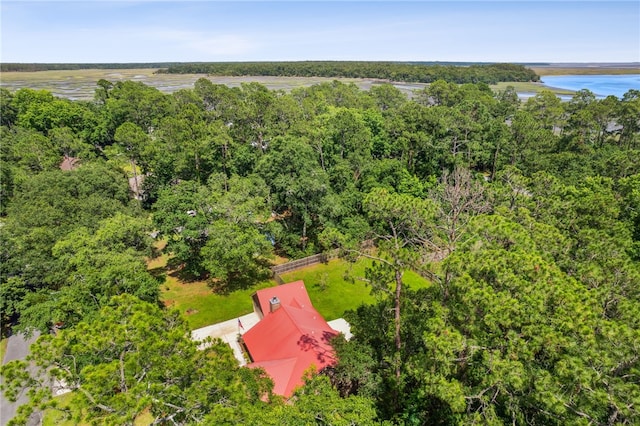 70 Buntin St, Woodbine, GA 31569 - drone / aerial view of a large body of water and a heavily wooded area