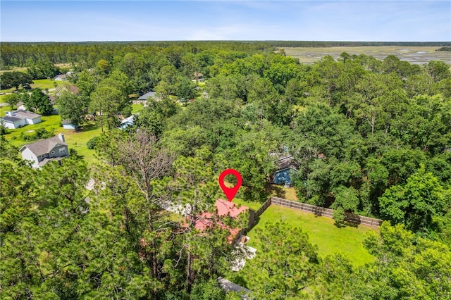 70 Buntin St, Woodbine, GA 31569 - bird's eye view of a forest
