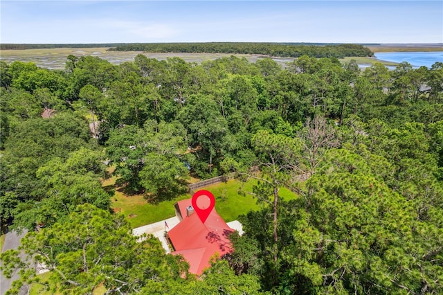 70 Buntin St, Woodbine, GA 31569 - aerial view of a large body of water and a forest