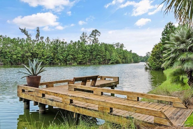 view of dock with a water view