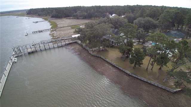 1186 Winterberry Ct NE, Townsend, GA 31331 - aerial view of property and surrounding area with a nearby body of water