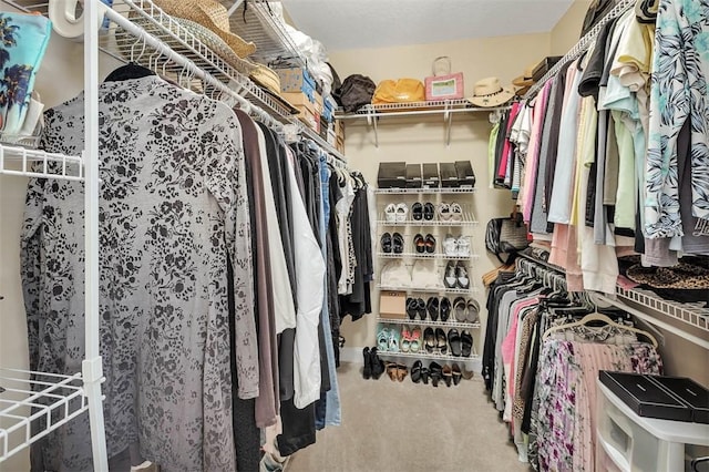 spacious closet featuring carpet floors