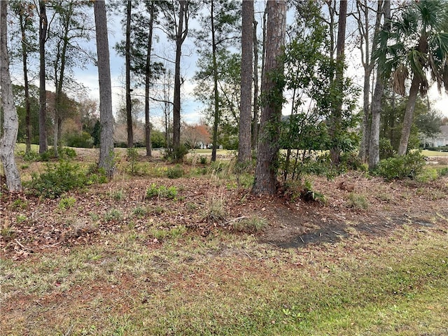 388 Oak Grove Island Dr, Brunswick GA, 31523 land for sale