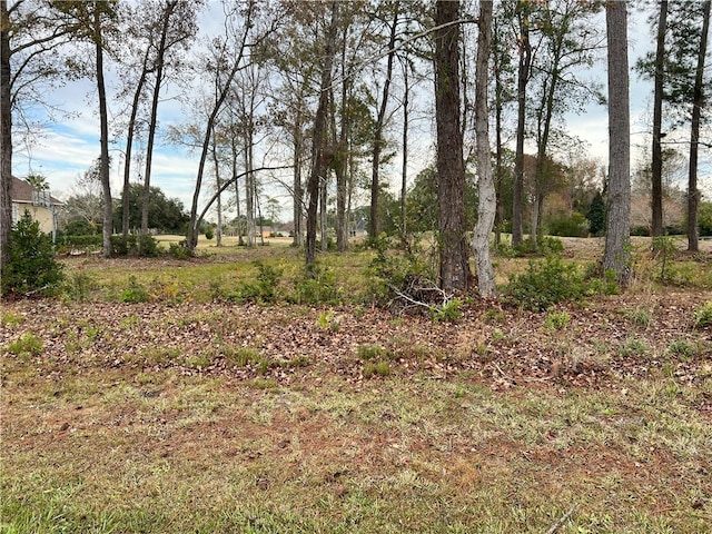 Listing photo 2 for 388 Oak Grove Island Dr, Brunswick GA 31523